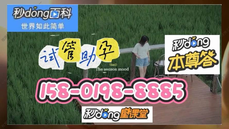 借卵试管代怀微信交流群_借卵试管代怀微信交流群，共享心得与经验