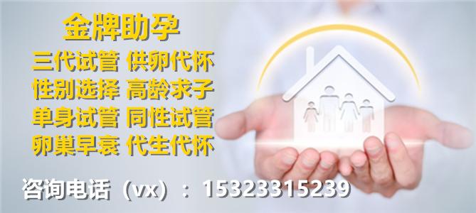 借卵试管代怀男孩过程-借卵试管代怀男孩:一段艰辛的生育之路