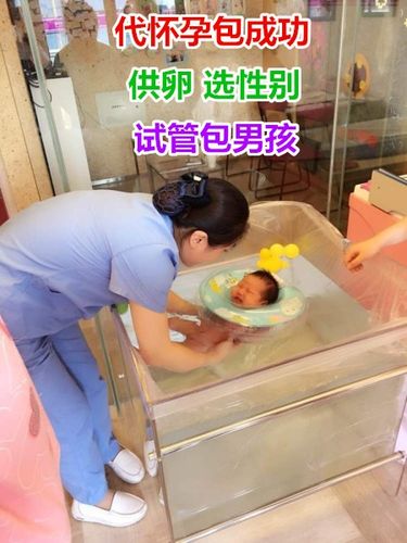 供卵试管代怀中心(供卵试管代怀中心:孕育新生命的温暖之家)