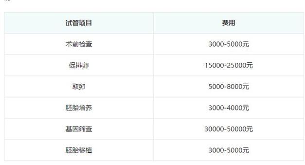 2024试管代怀能得多少费用_2024年试管代怀孕费用测算