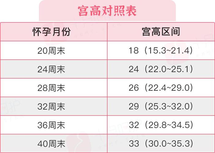借卵试管代怀成功率是多少(借卵试管代怀成功率调查及分析)