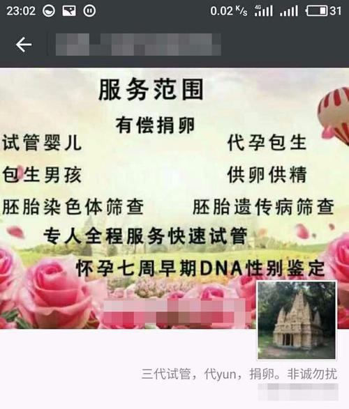 供卵试管代怀怎么收费(供卵试管代怀收费咨询指南)