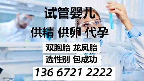借卵试管代怀咨询机构-借卵试管代怀咨询机构:专业帮助您实现生育梦想