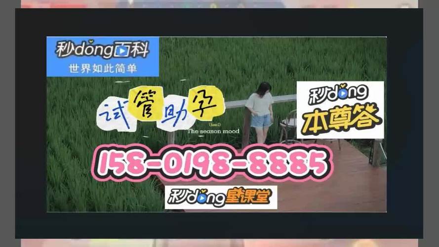 借卵试管代怀套餐-借卵试管代怀套餐:助您圆梦生育